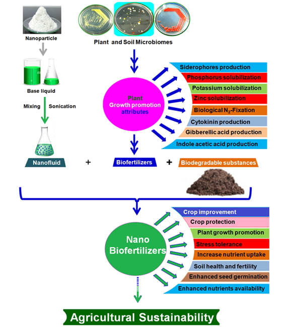 Graphical Abstract