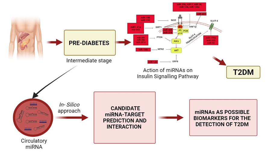 Graphical Abstract