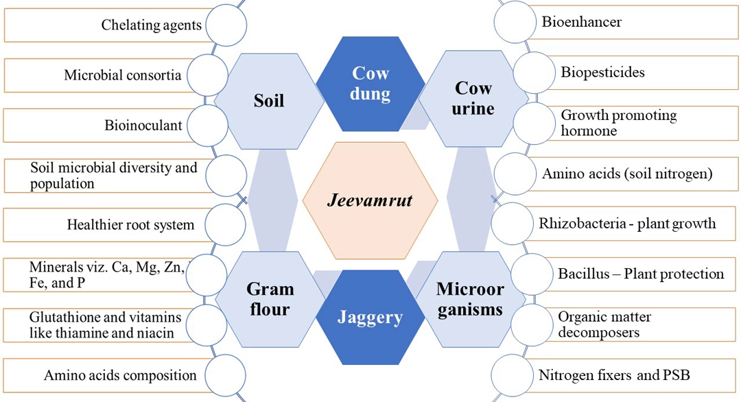 Graphical Abstract