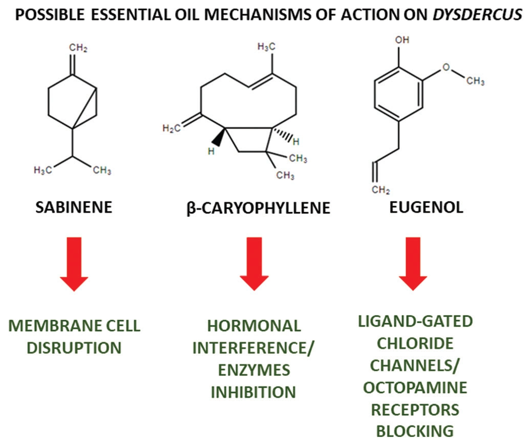 Graphical Abstract