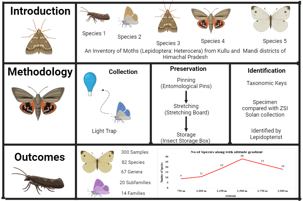 Graphical Abstract