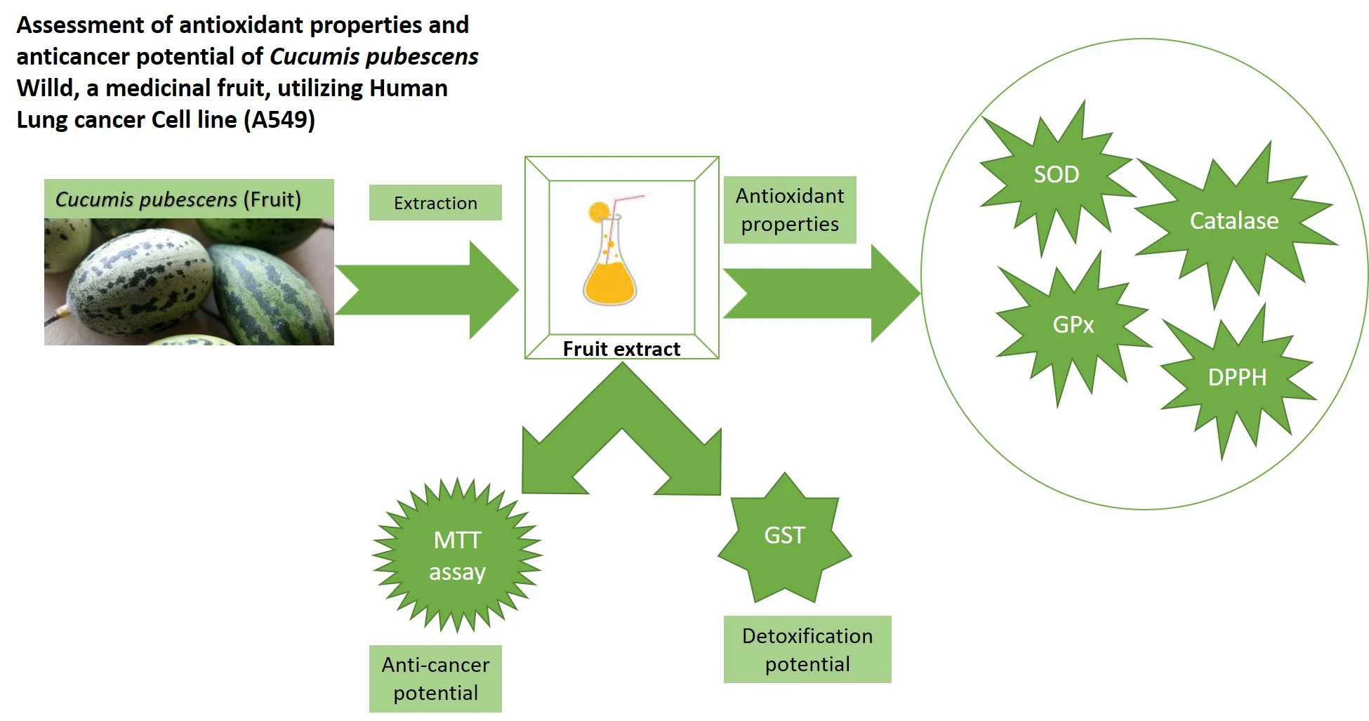Graphical Abstract