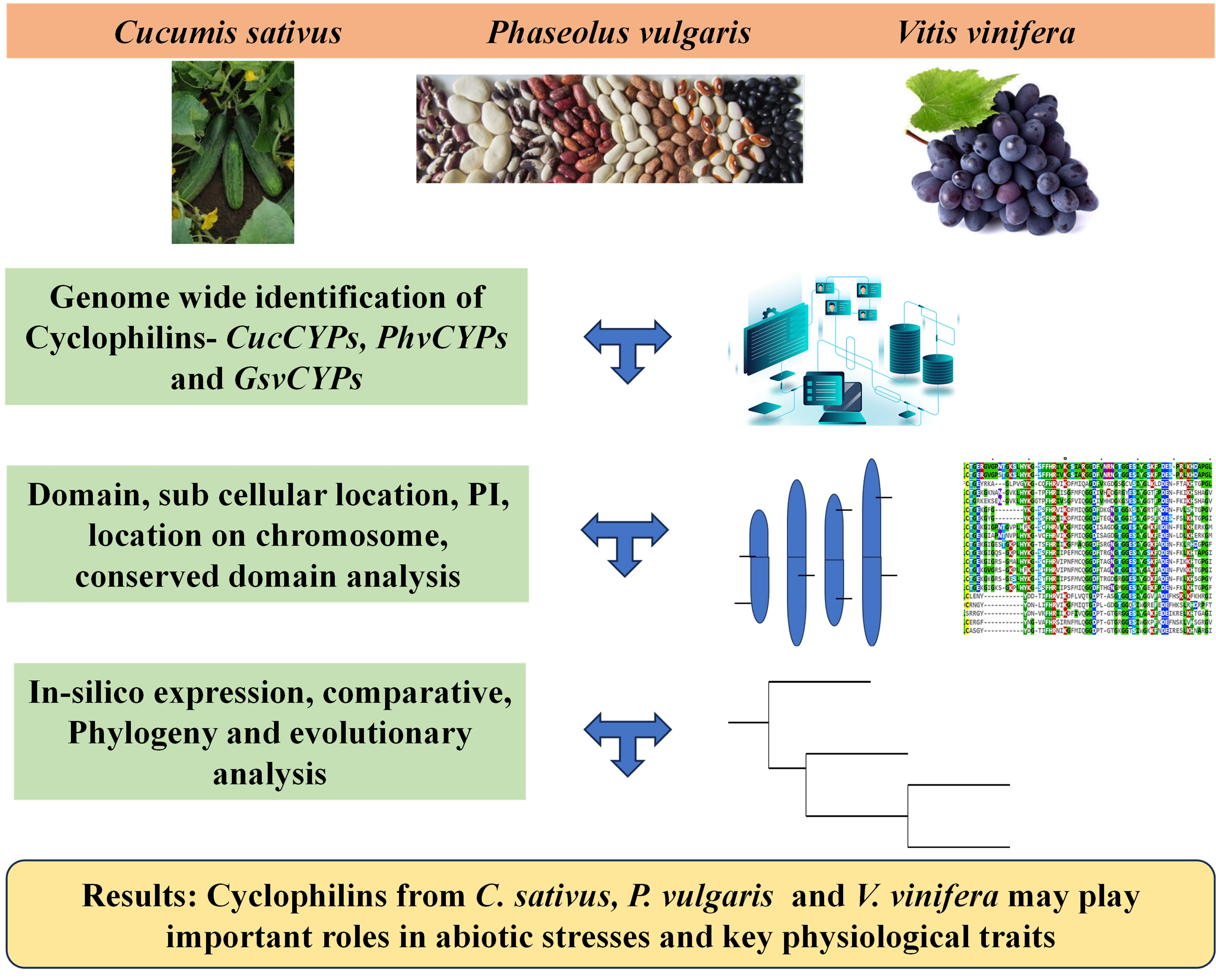 Graphical Abstract