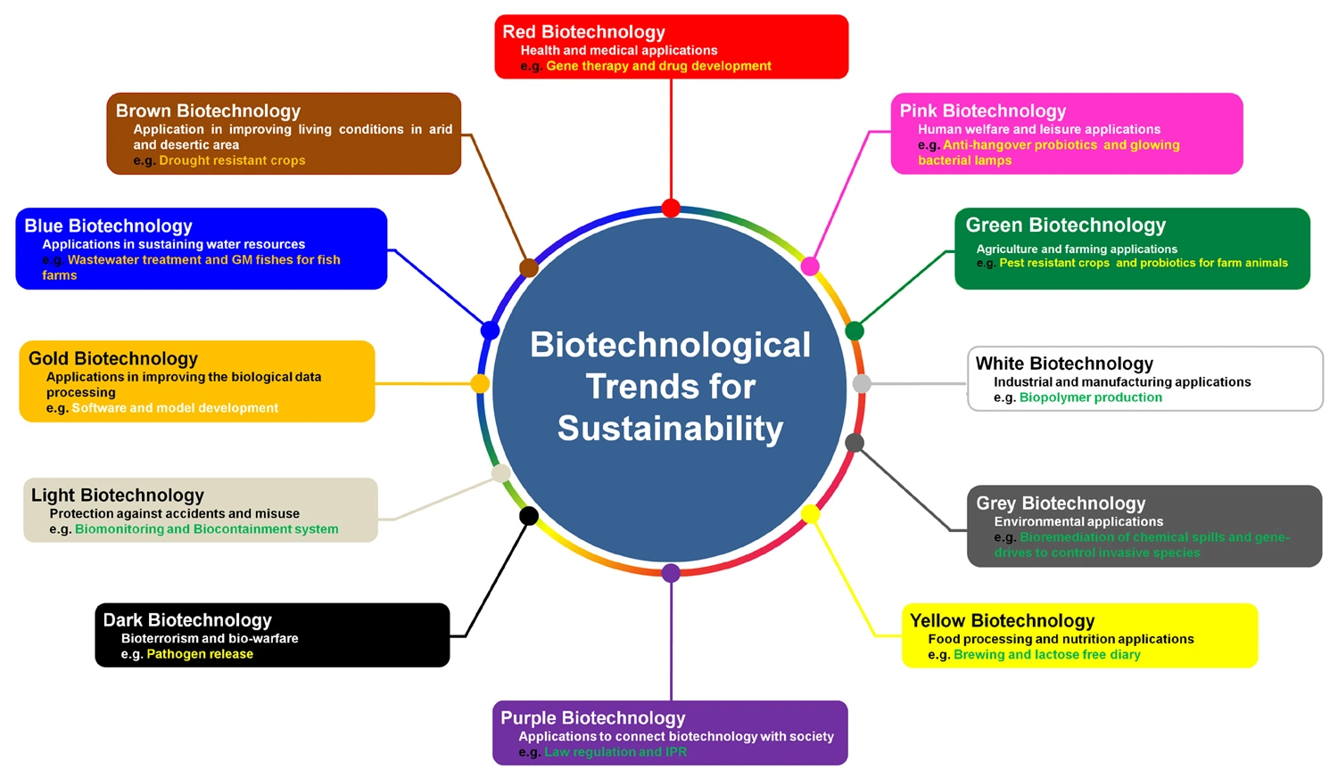 Graphical Abstract
