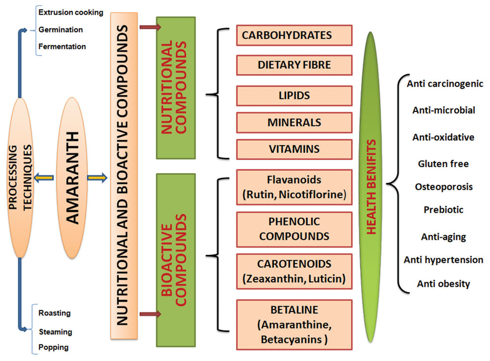 Graphical Abstract