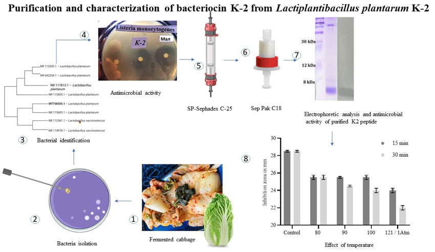 Graphical Abstract
