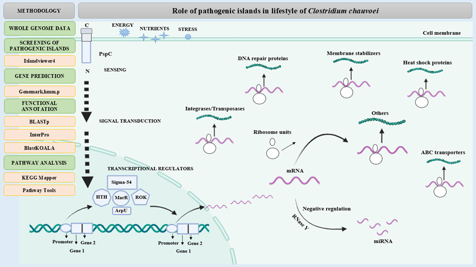 Graphical Abstract
