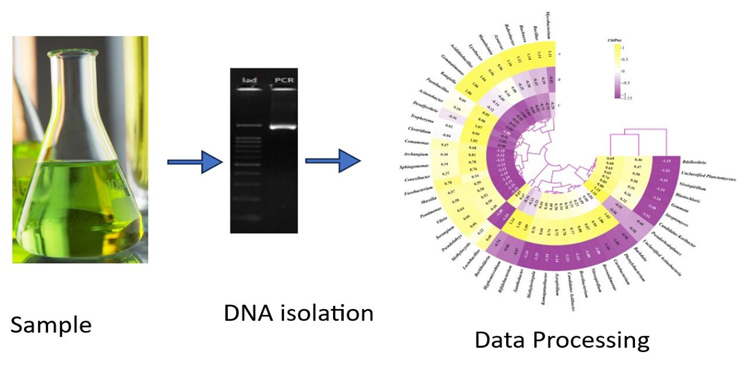 Graphical Abstract