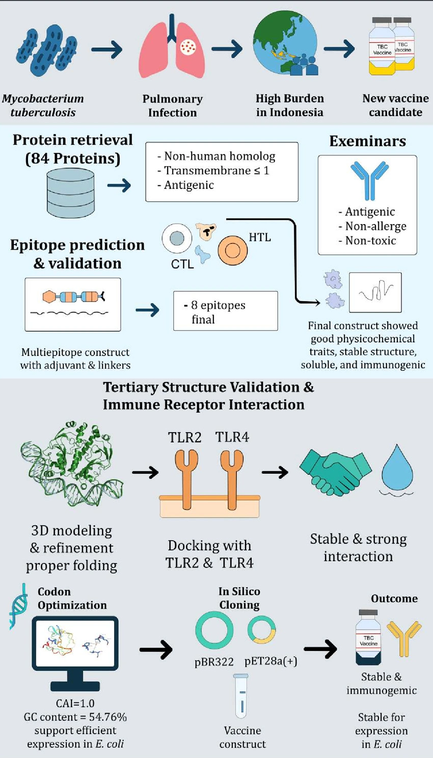 Graphical Abstract
