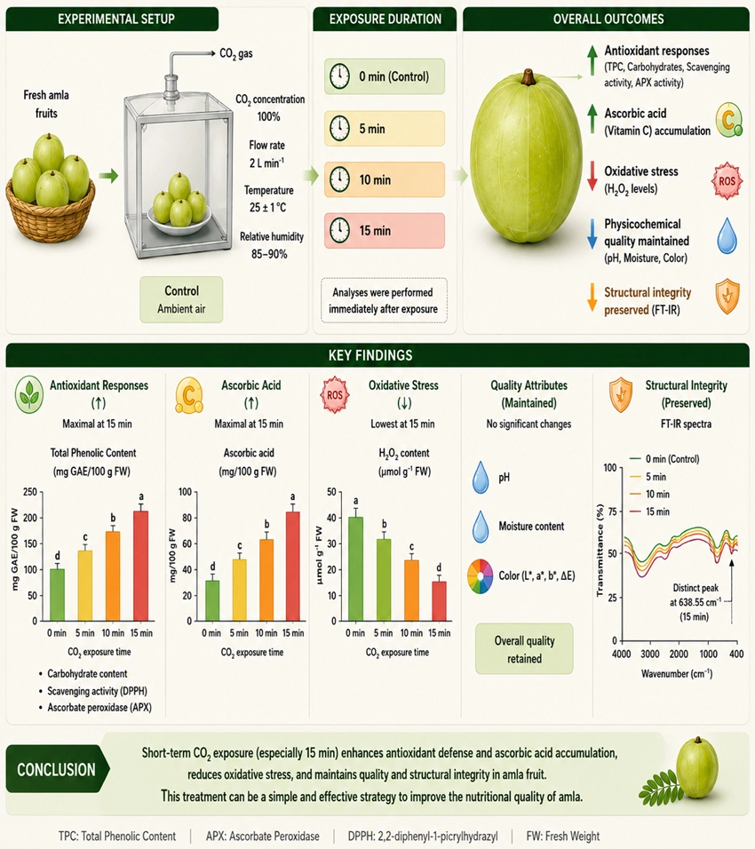 Graphical Abstract