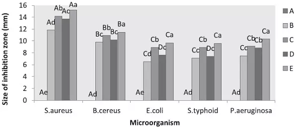 Graphical Abstract