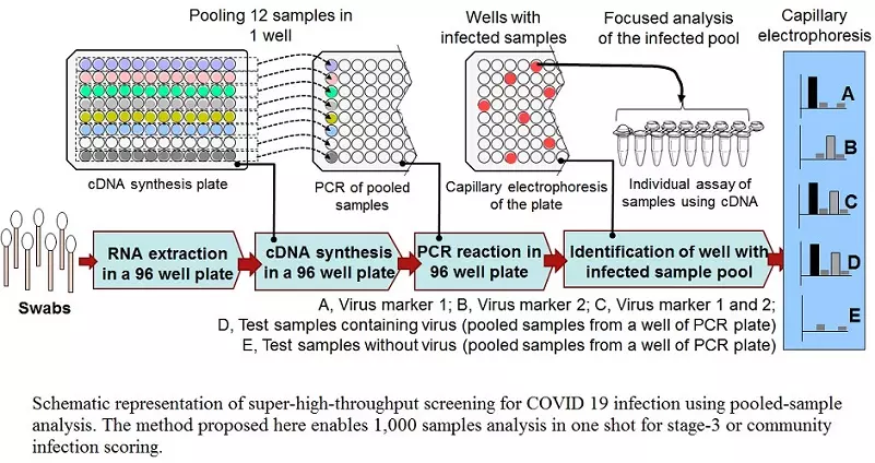 Graphical Abstract