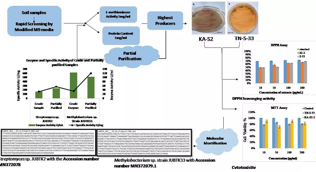 Graphical Abstract