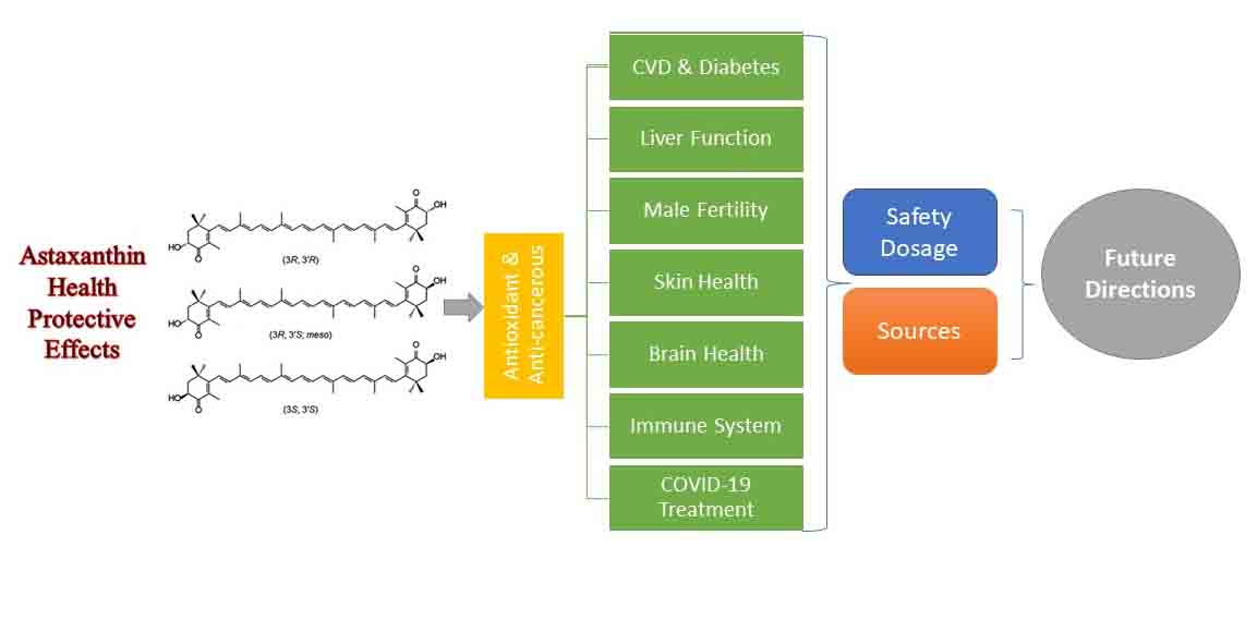 Graphical Abstract
