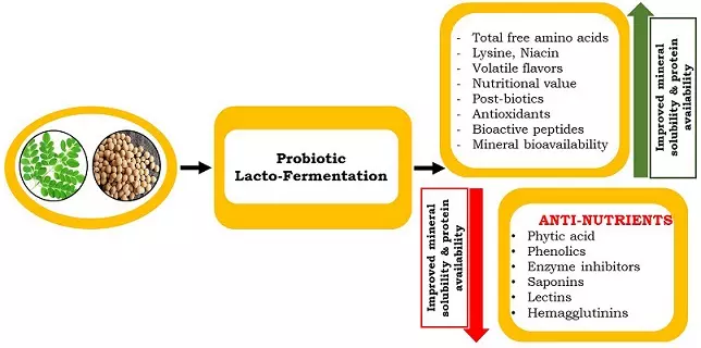 Graphical Abstract