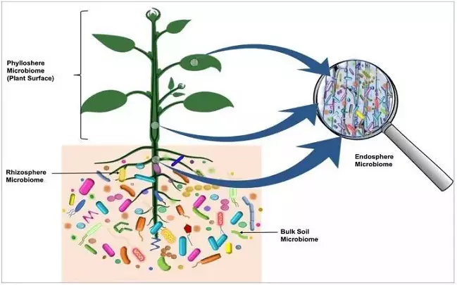 Graphical Abstract