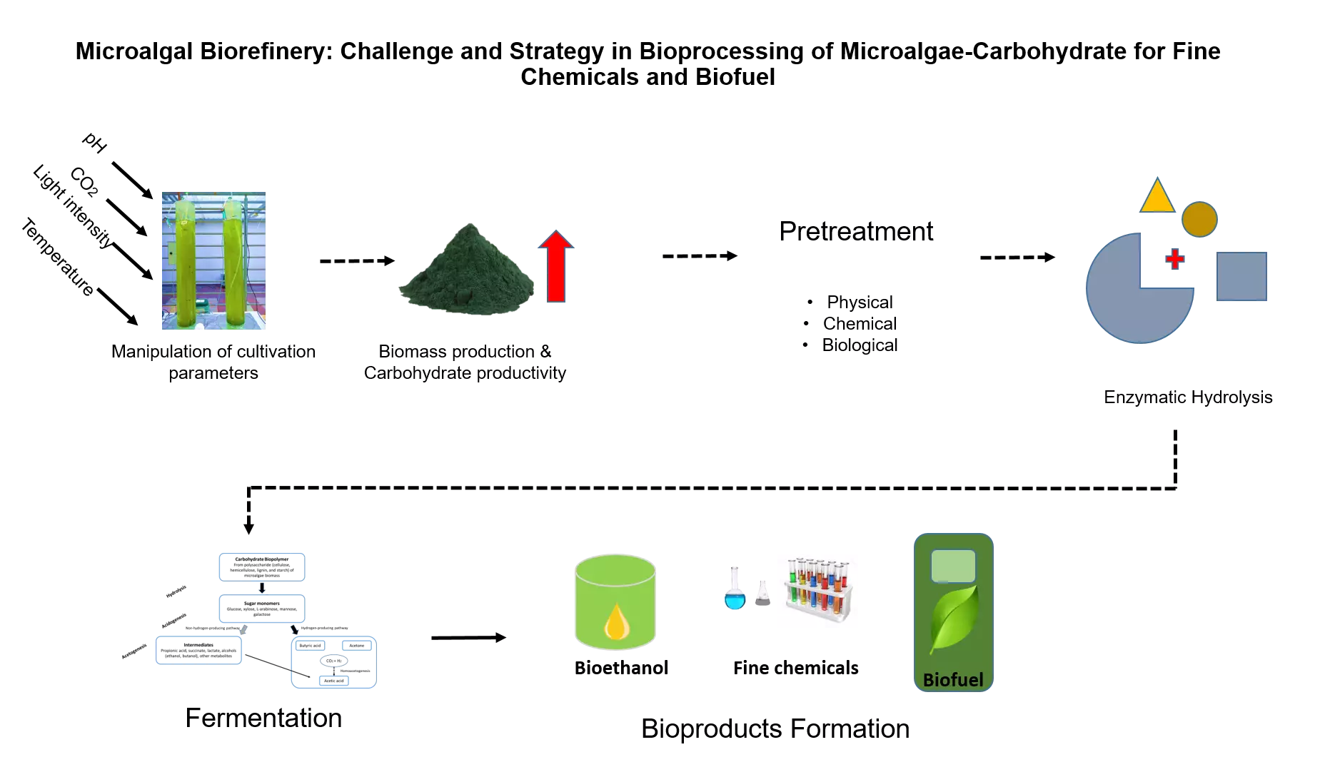 Graphical Abstract