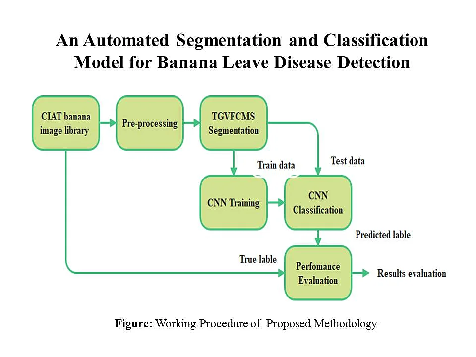 Graphical Abstract