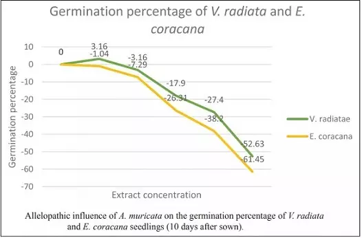 Graphical Abstract
