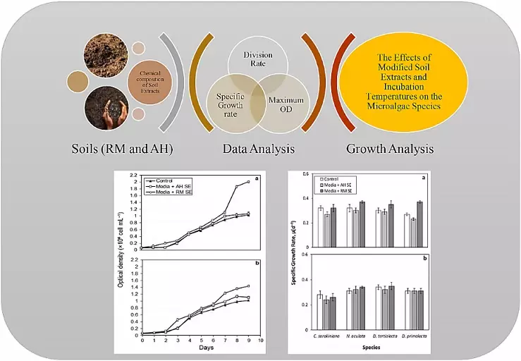Graphical Abstract