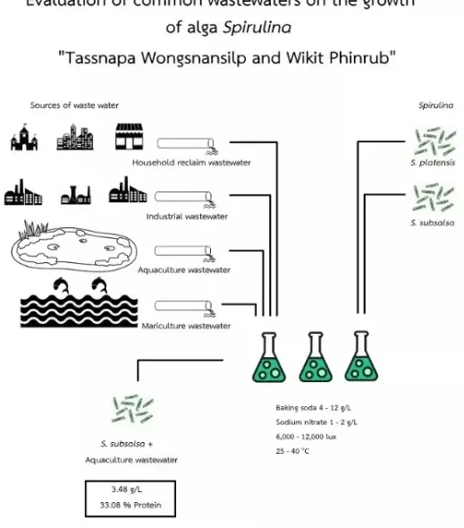Graphical Abstract