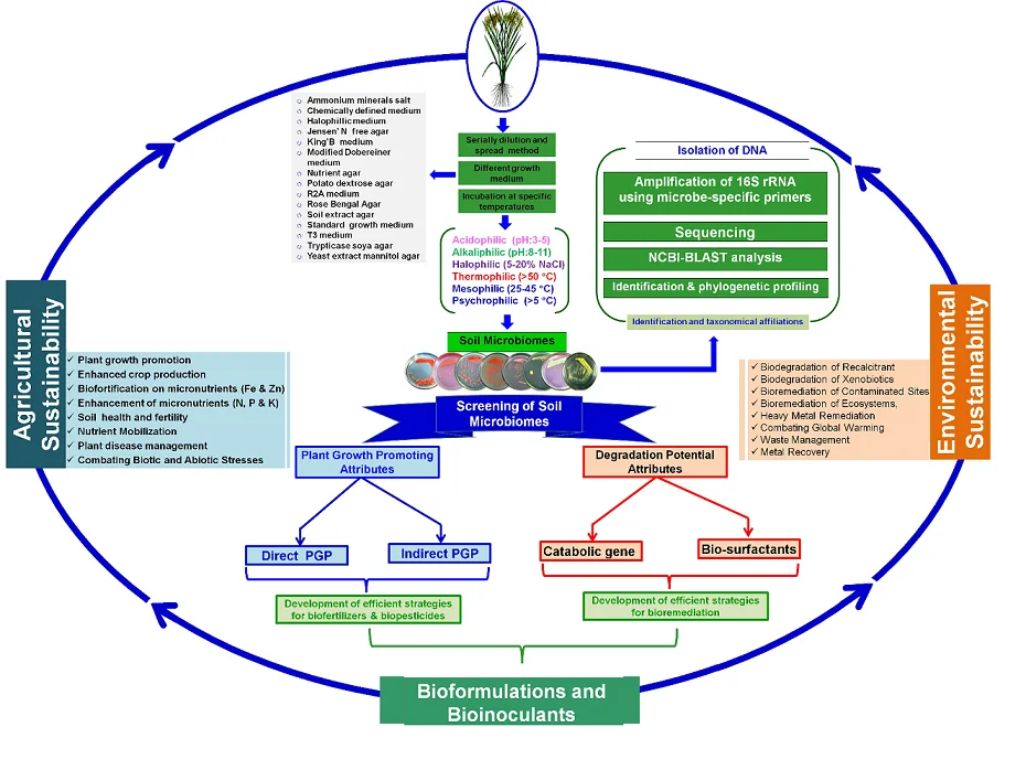 Graphical Abstract