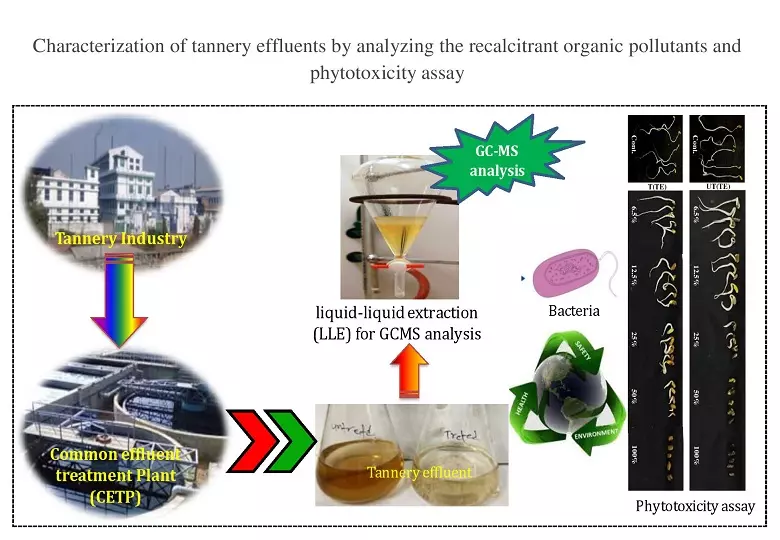 Graphical Abstract