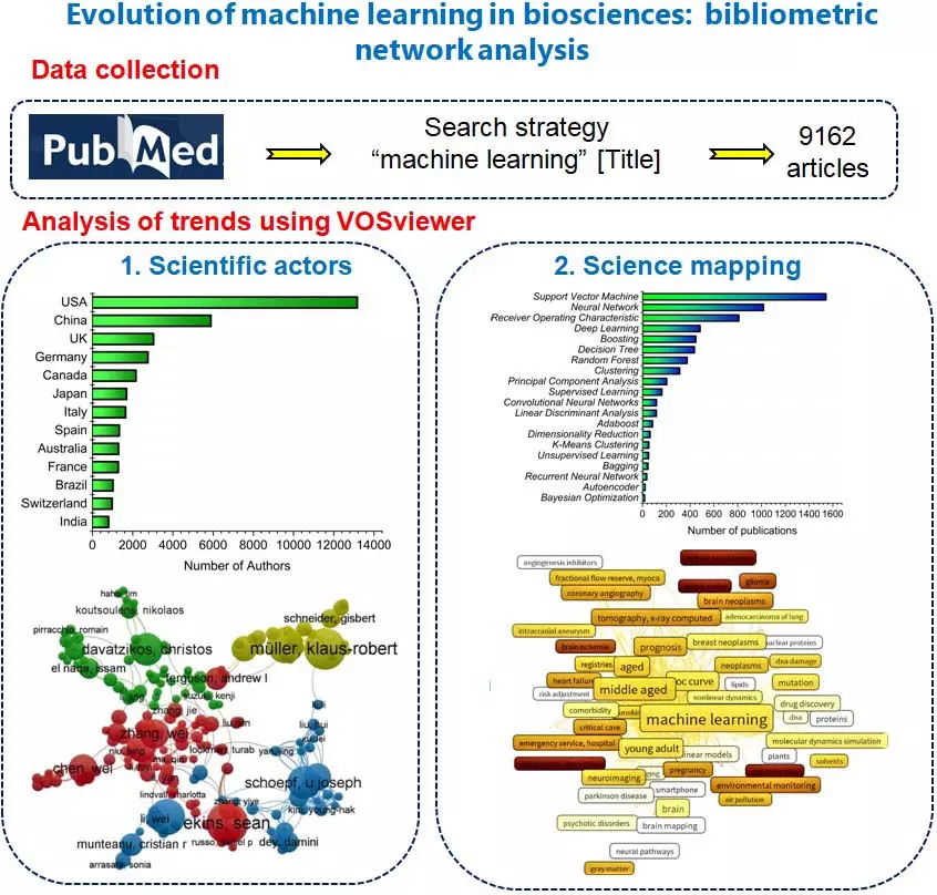 Graphical Abstract