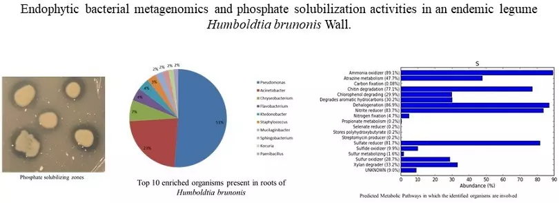 Graphical Abstract