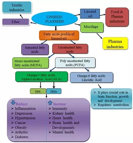 Graphical Abstract