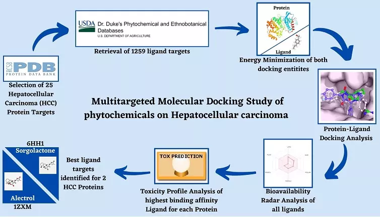 Graphical Abstract