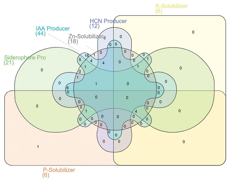 Graphical Abstract