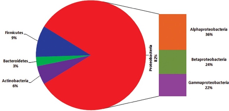 Graphical Abstract