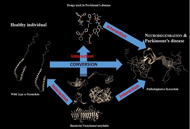 Graphical Abstract