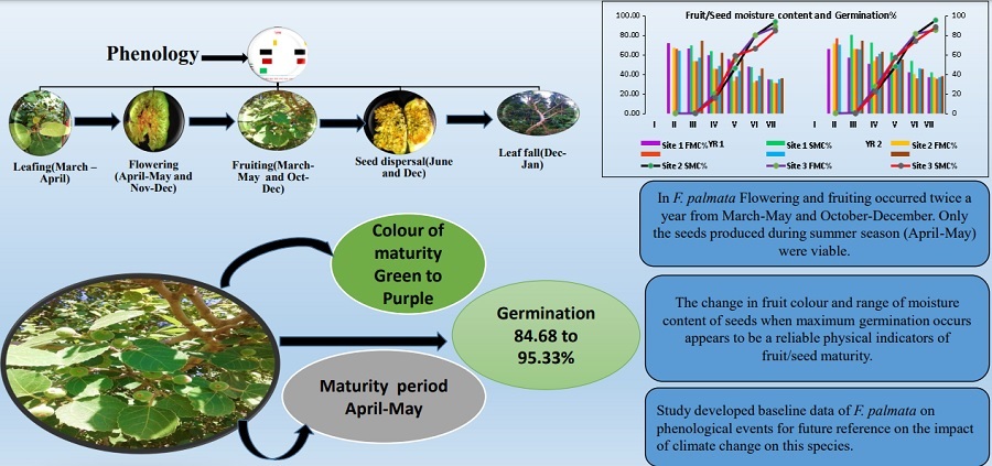 Graphical Abstract