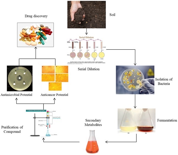 Graphical Abstract