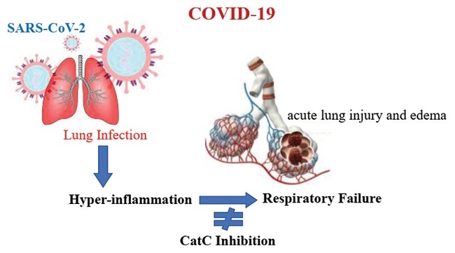 Graphical Abstract